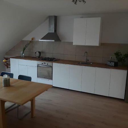 Apartman Dvorak 194 Pod Svatou Horou Příbram Eksteriør bilde