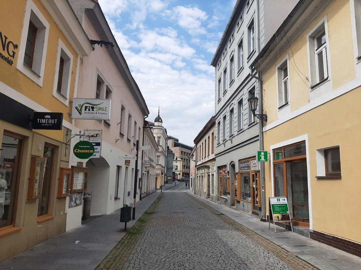 Apartman Dvorak 194 Pod Svatou Horou Příbram Eksteriør bilde