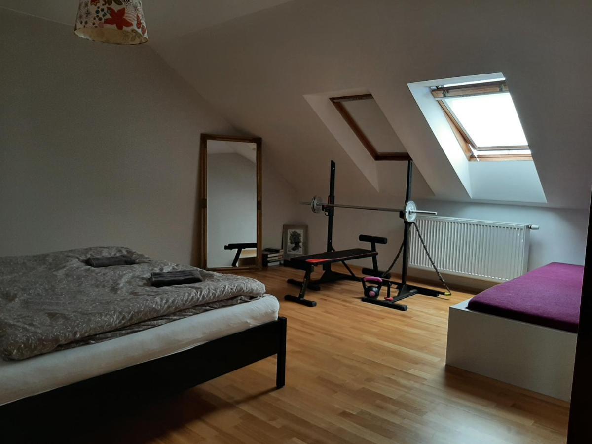 Apartman Dvorak 194 Pod Svatou Horou Příbram Eksteriør bilde