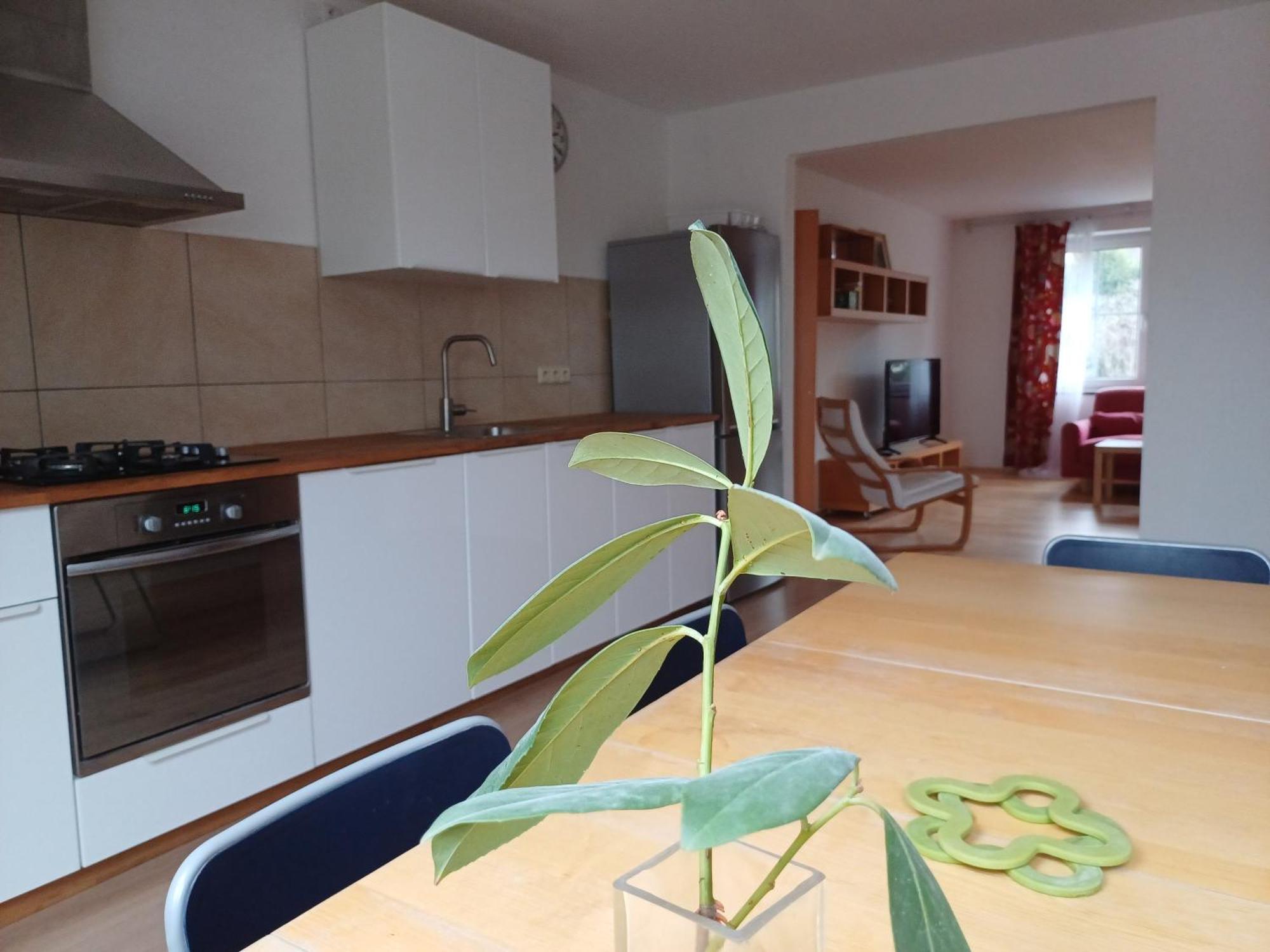 Apartman Dvorak 194 Pod Svatou Horou Příbram Eksteriør bilde